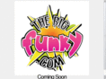 thebigfunky.com