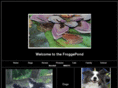 froggepond.com
