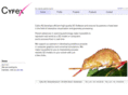 cyfex.com