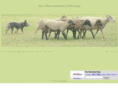 brynmawrcattledogs.com