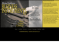 bizinstruments.com