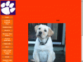 paws4rescuenewengland.org