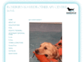 roseburnk9hydrotherapy.com