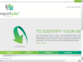 exportwise.co.uk