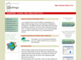 randomization.org