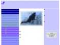 aiigr.net