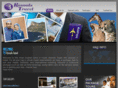 rasoolstravel.com