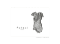 poleci.com