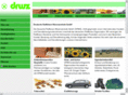 drwz.info