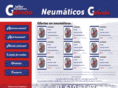 neumaticosgalindo.es
