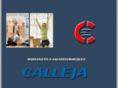 mudanzascalleja.com