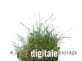 digitalepaysage.com