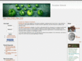 ecozoicdetroit.net
