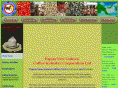coffeecorp.org.pg