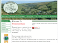 exmoorcamping.com
