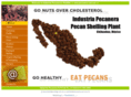 pecanera-nut.com