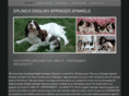 eplingspringers.com
