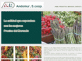 andomur.com