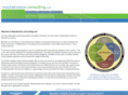 mechatronics-consulting.com