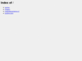 datines.net