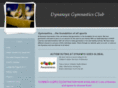 dynamyxgymnastics.com