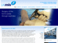 ukmis.com