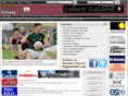galwaygaa.net