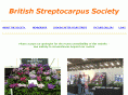 streptocarpussociety.org.uk
