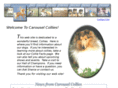 carouselcollies.com