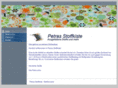 petrasstoffkiste.com