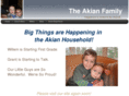 akian.com