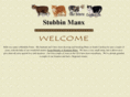 stubbinmanx.com