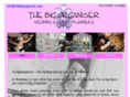 thebigorganiser.com