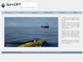 survopt.com