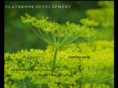 flatbrookdevelopment.com