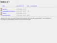 ankkit.net