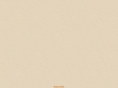 myshkin.org
