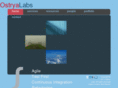 ostryalabs.com