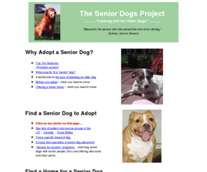 srdogs.com: The Senior Dogs Project
