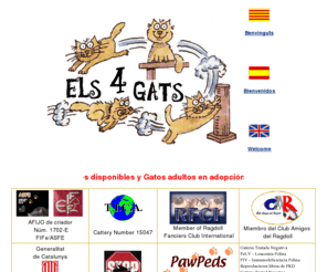 els4gats.com: Els Quatre Gats - Criadors de Gats Ragdoll
Els 4 Gats, Criadores Ragdoll en España. Ragdolls cerca de Barcelona