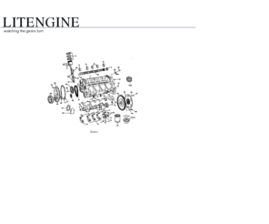 litengine.org: LitEngine -
