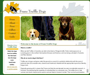 trainingtruffledogs.com: Frans Truffle Dogs - Truffle Dog Training in Cudal, 2864, NSW, Australia.
Frans Truffle Dogs is known across the world for it's well behaved efficient Truffle Hunting Dogs.