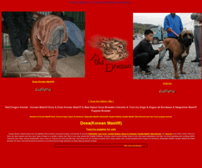 dosaworld.com: RED DRAGON KENNELS - Korean Mastiffs Dosa and Tosa Inu Puppies by Korean Dogs Breeders
For sale Korean mastiffs, Dosa Dogs, and Tosa Inu Puppies by RED DRAGON KENNELS, Korean Mastiff breeders. We sell worldwide for dog breeders. Red Dragon Kennels