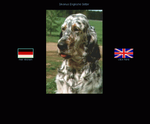 silvanus-englische-setter.de: www.Silvanus-Englische-Setter.de

