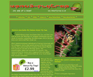 venusflytrap.co.uk: Venus Fly Trap Plant Information Guide
Venus Fly trap - Learn or buy this plant