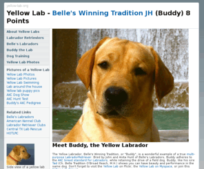 yellow-lab.net: Yellow Lab
The Yellow Lab 