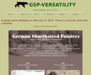 gsp-versatility.com: GSP-VERSATILITY - Puppies for sale
German Shorthaired Pointer puppies to be whelped mid-February 2010.