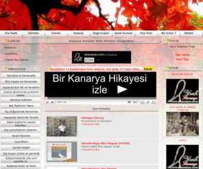 ekanarya.com: Kanarya Sesi,Satılık Kanarya,
Yorkshire,Gloster,Border,Malinua,Mozaik,Ağat,Finch,Muhabbet Kuşu,Bilmek istediğiniz bir çok şey.
satılık Kanarya ilanları, Kanarya hastalıkları, Tedevisi, Türleri, yetiştiriciliği,Kanarya Sesleri indir dinle, Tüm Renk Kanarya,Irk kanarya ve Doğa Kuşları Çeşitleri burada.