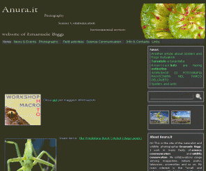 anura.it: Anura.it 
