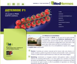 medhermes.net: MedHermes
